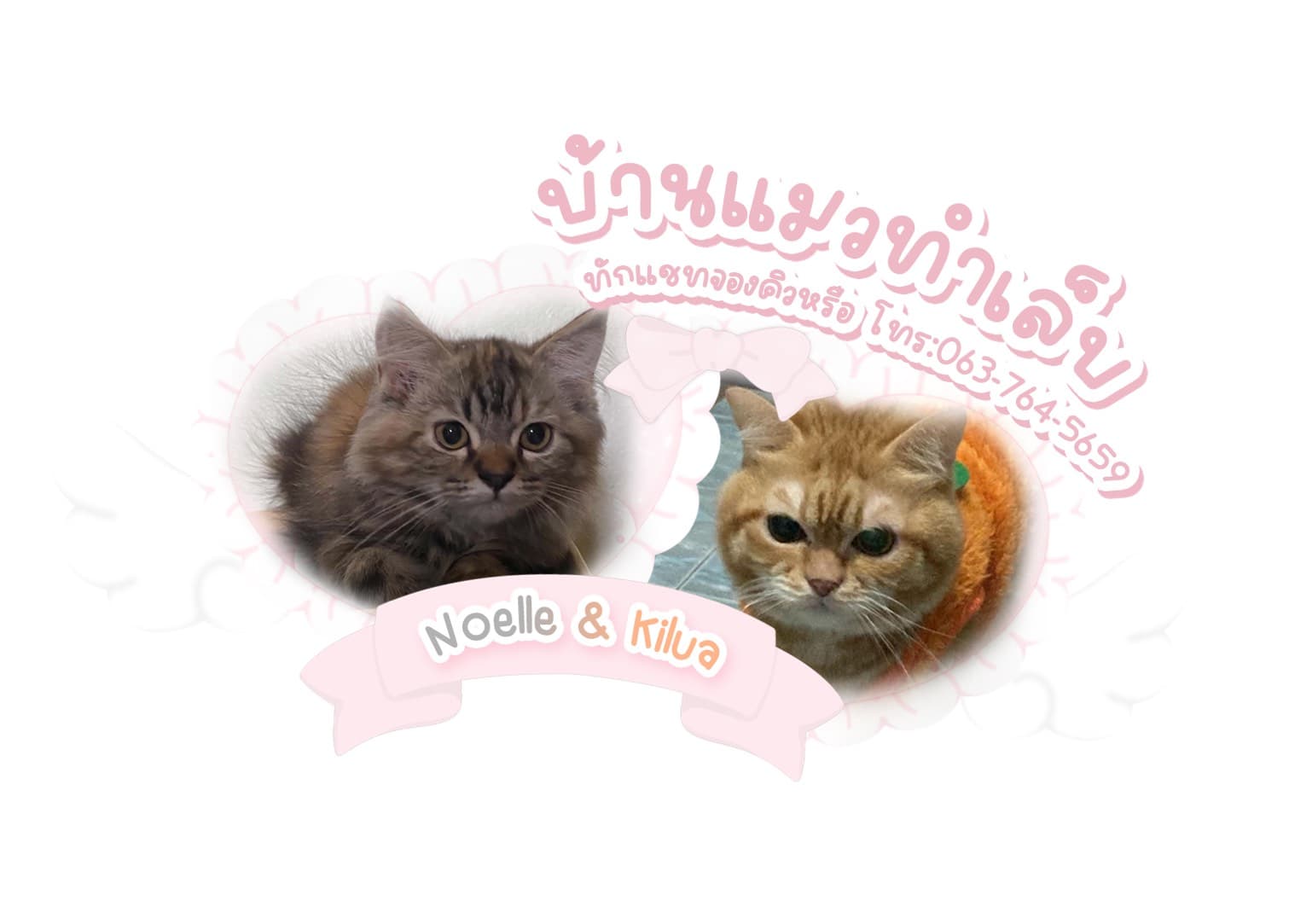 บ้านสัตว์ทำเล็บ